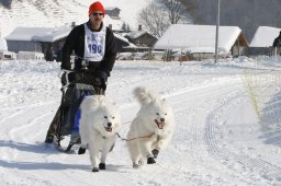 Lenk 2012 SM